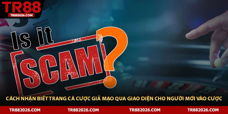 Cách nhận biết trang cá cược giả mạo qua giao diện cho người mới vào cược