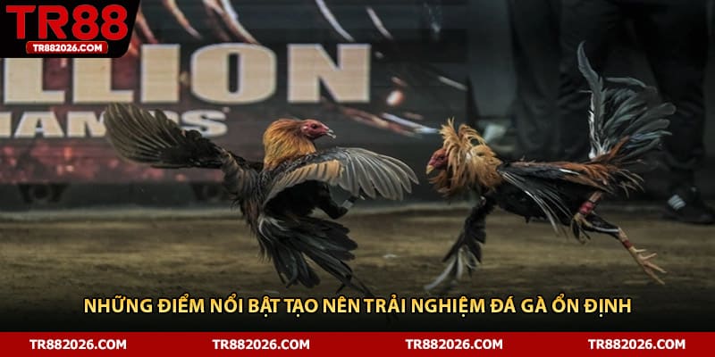 Những điểm nổi bật tạo nên trải nghiệm đá gà ổn định