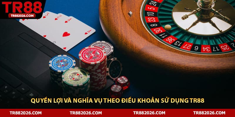 Quyền lợi và nghĩa vụ theo điều khoản sử dụng TR88
